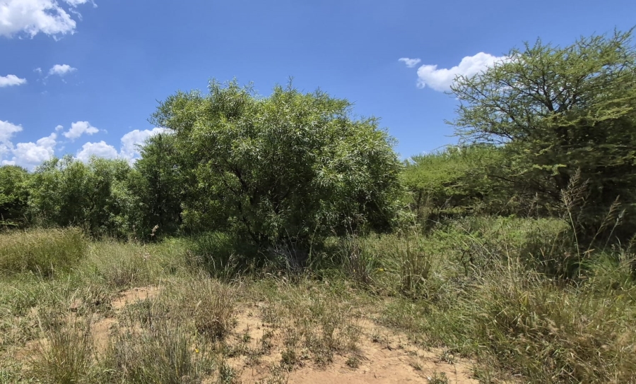 4 Bedroom Property for Sale in Zeerust North West